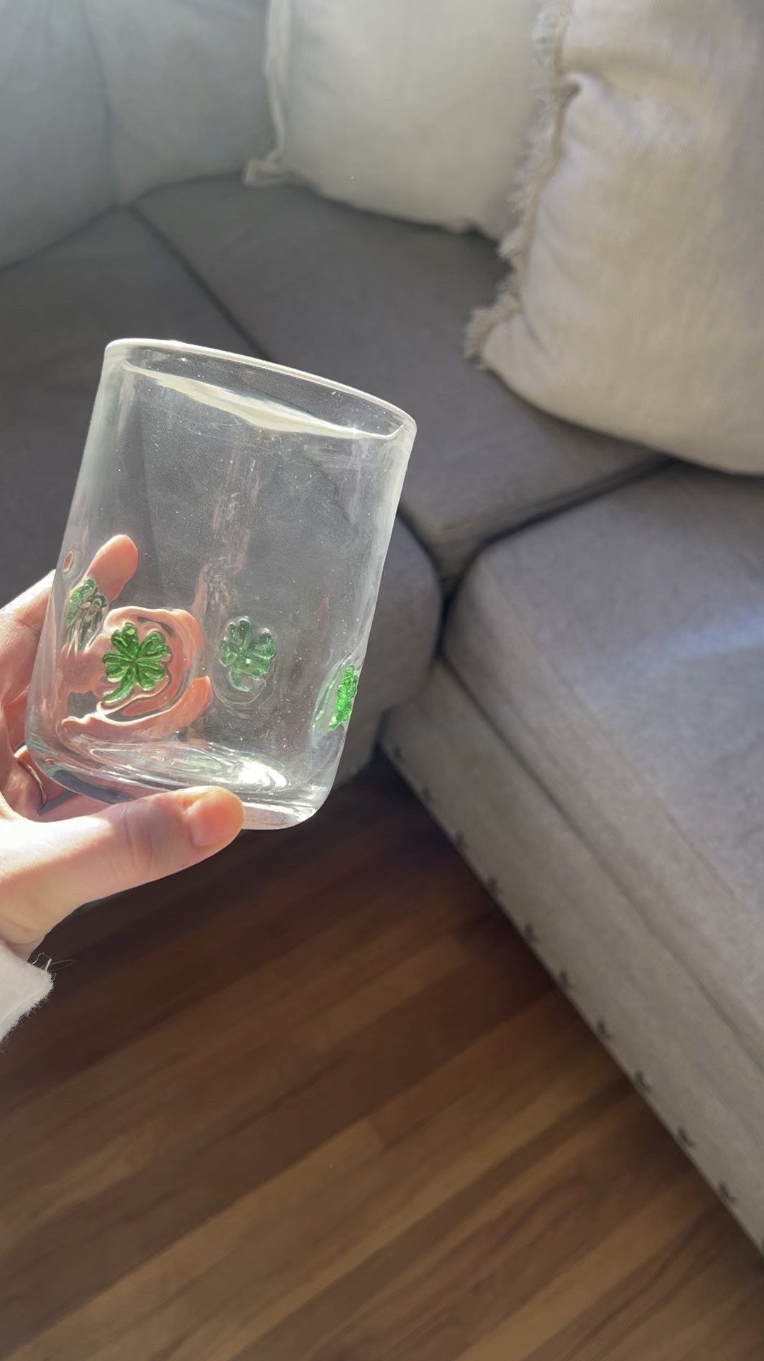 Four Leaf Clover Icon Juice Glass for March 🍀

#LTKWatchNow #LTKSeasonal #LTKHome