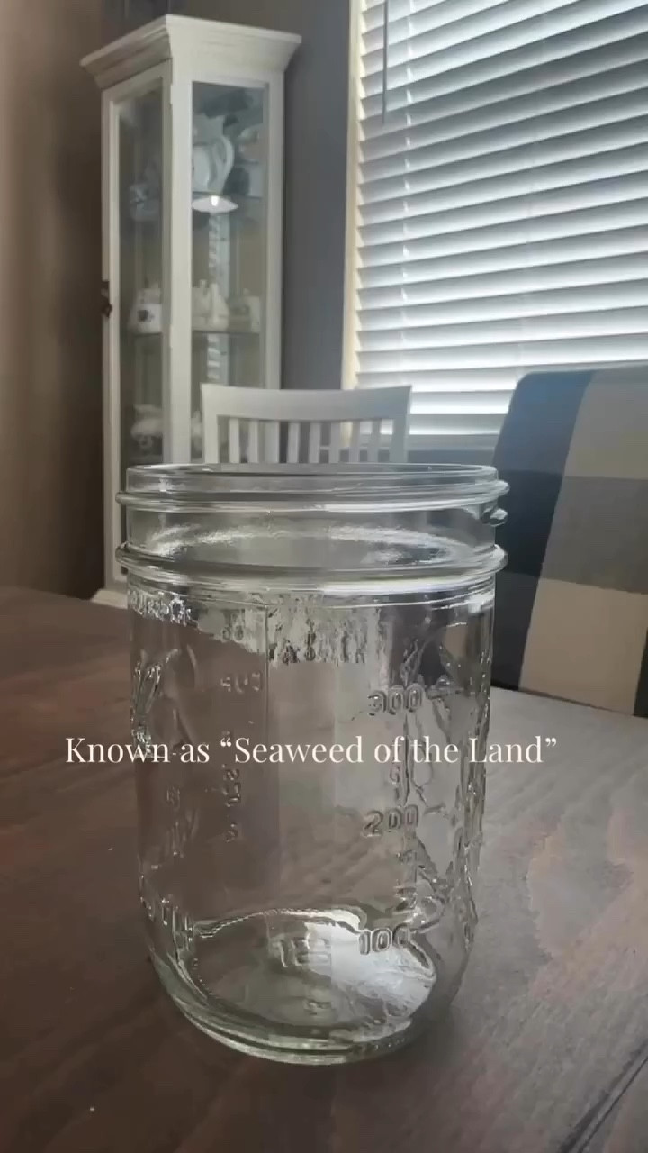 This is one of the top nutritive herbs known as the seaweed of the land due to its concentration of minerals.

Its’ benefits include:
• Reduces inflammation in the body
• Cleans your blood
• Aids in skin & bone health
• Fights seasonal allergies
• High in amino acids, iron, calcium, potassium & zinc

Leave your guess on what it is in the chat below and I’ll send you directions to make your own tincture with it!

*This is not medical advice! I always encourage everyone to do their own research & talk to your doctor before adding herbal medicines into your diet