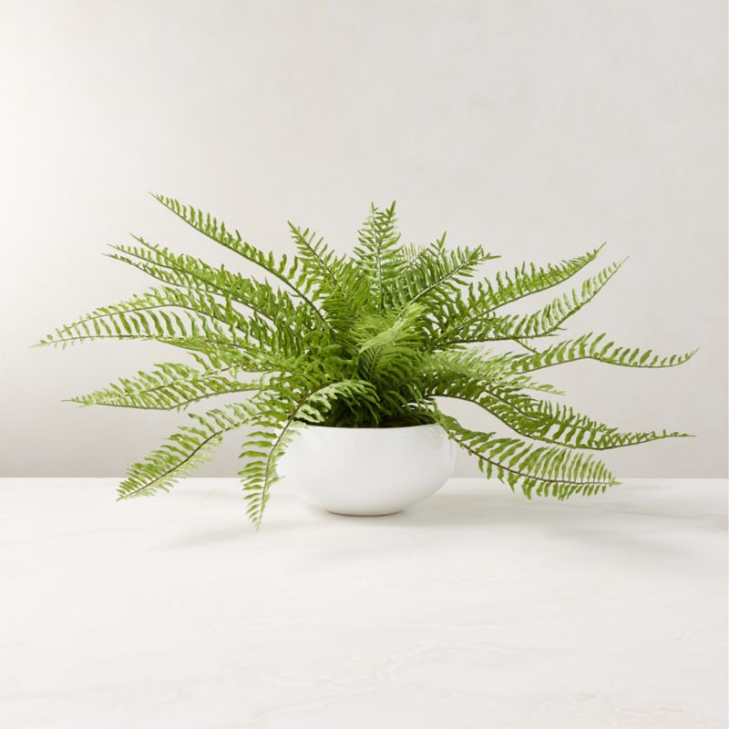 Faux Fern Plant 10" + Reviews | CB2 | CB2