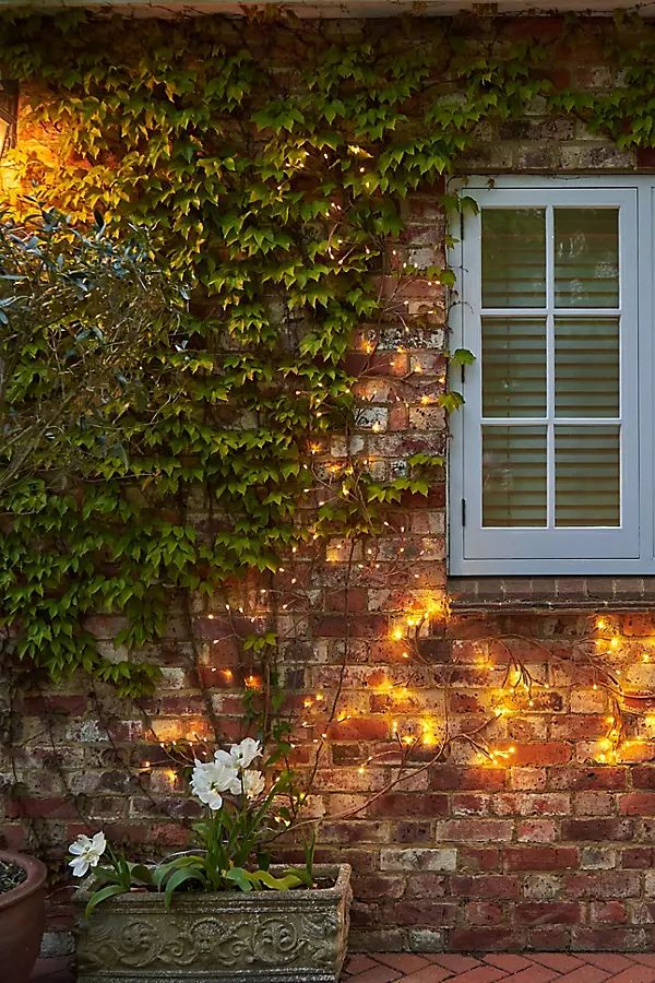 Solar LED Ivy Branch Lights | Terrain