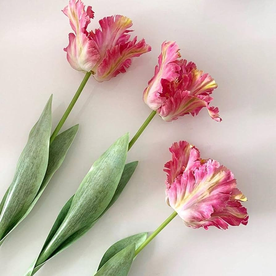 3Pcs 3D Parrot Tulips Artificial Flowers Faux Tulips Real Touch Long Stem Fake Tulips Bouquet for... | Amazon (US)