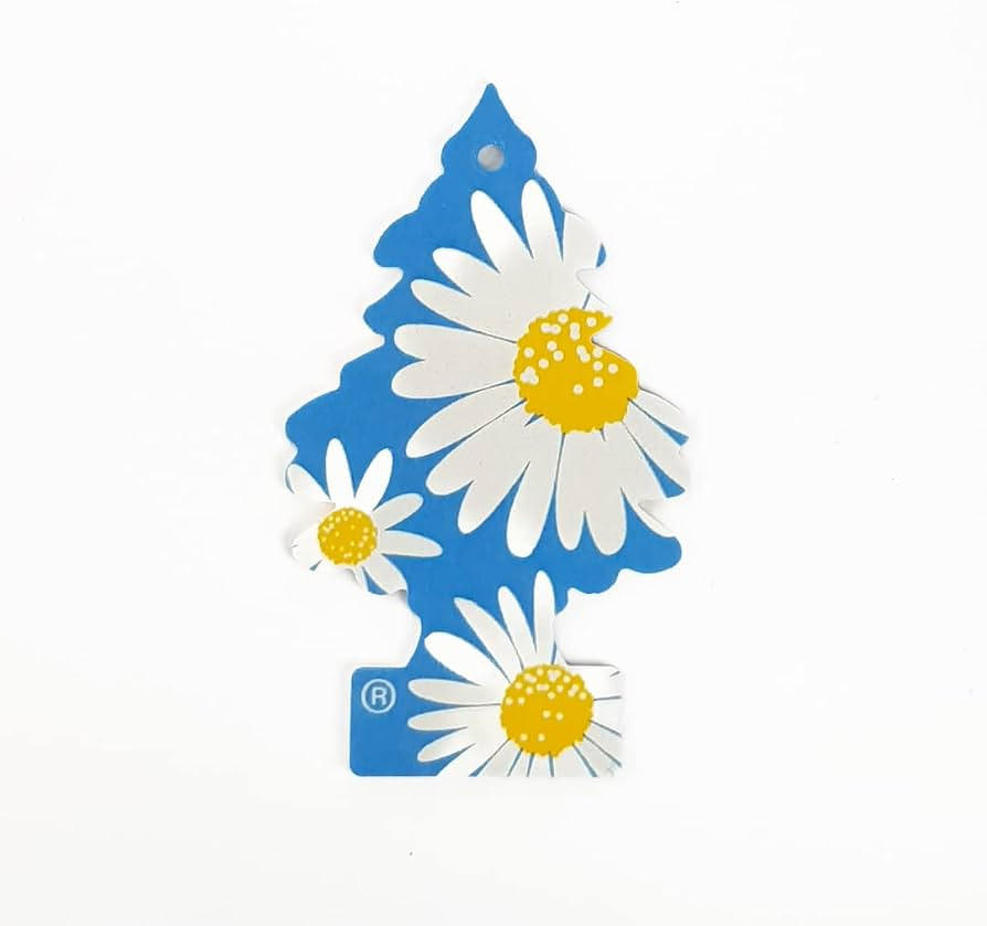 Little Trees Car Air Freshener 3-PACK (Daisy Fields) | Amazon (US)
