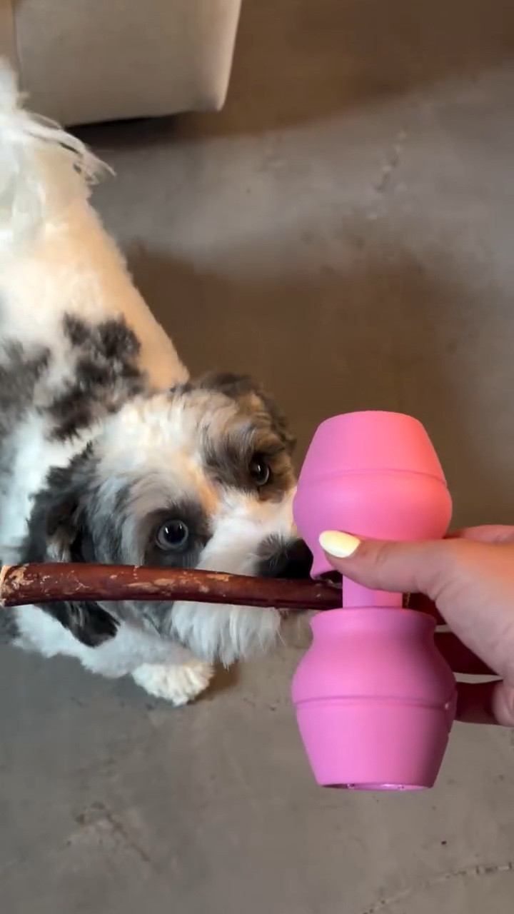 i’m always scared of my dogs choking on their bully sticks so this holder has been a life saver🐶 comment “DOG” and i will send you the 🔗 !