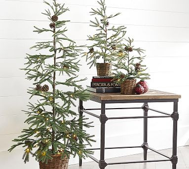 Lit Faux Pine Trees in Basket | Pottery Barn (US)