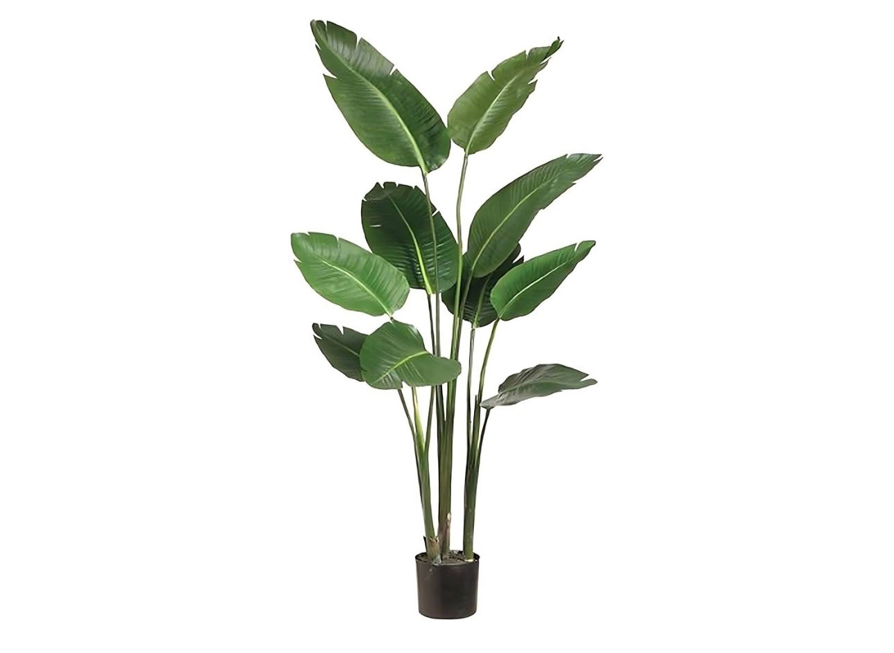 One 5 Foot Artificial Bird of Paradise Palm Tree Potted Plant by
TRESIL

#LTKOver40 #LTKHome