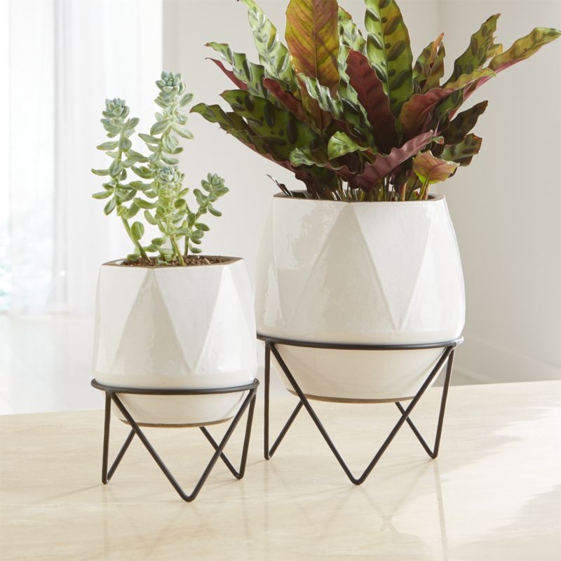 Aaro Planters with Stands | Crate & Barrel | Crate & Barrel