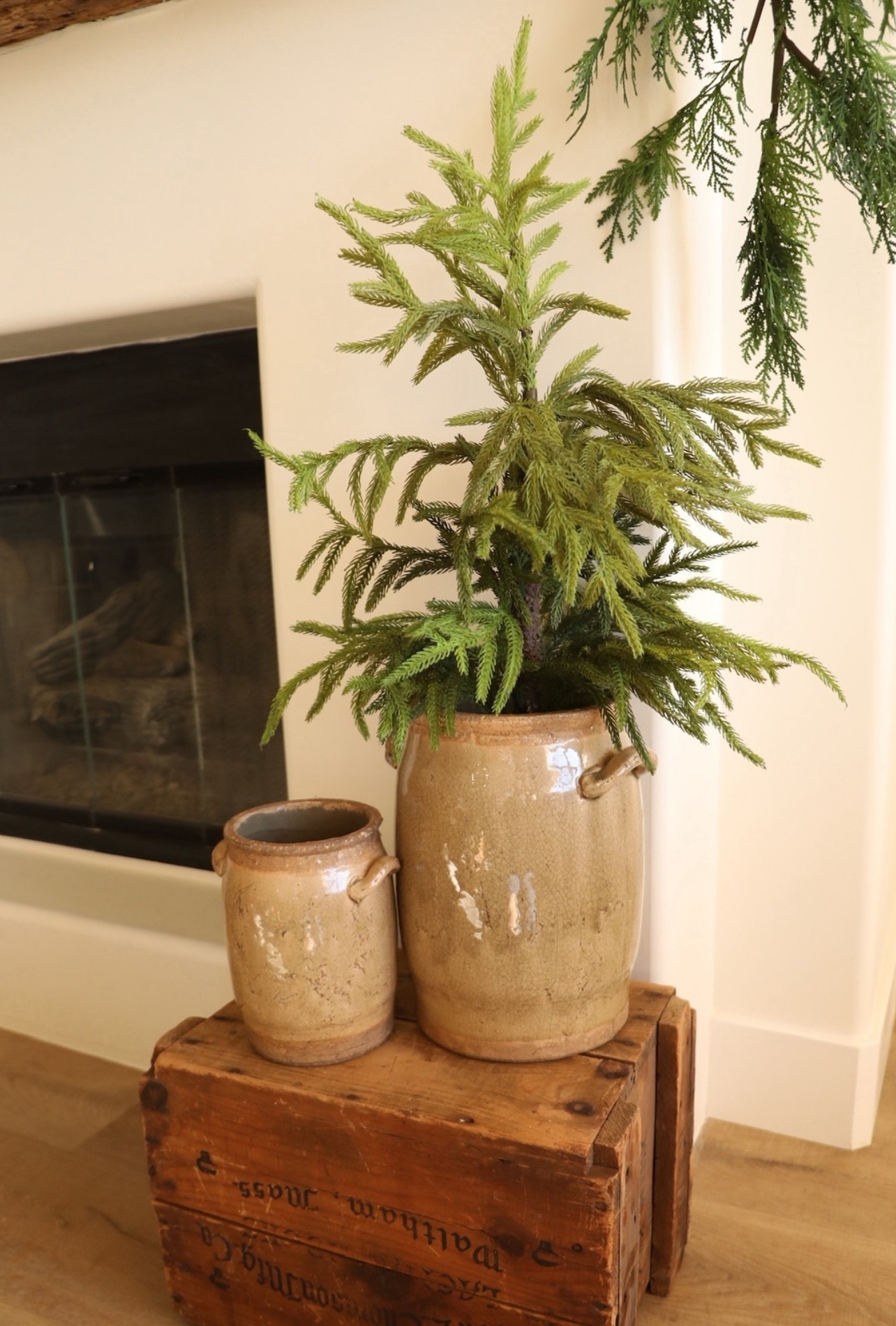 I love this little real-touch Norfolk pine tree to use as a rustic accent piece for my holiday staying 🥰🎄#holidaydecor #christmasdecor #ltkhome #homedecor #christmasdecorating ideas 

#LTKHoliday #LTKHome #LTKSeasonal