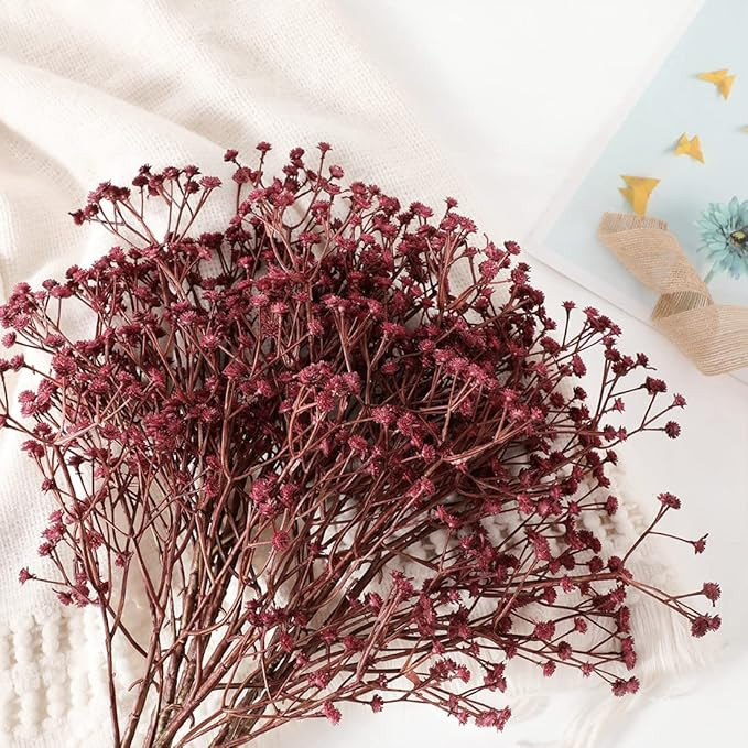 Bluegrass Valley Art 10 Pcs Artificial Baby Breath Flowers Long Stem Fake Gypsophila Flower Bouqu... | Amazon (US)