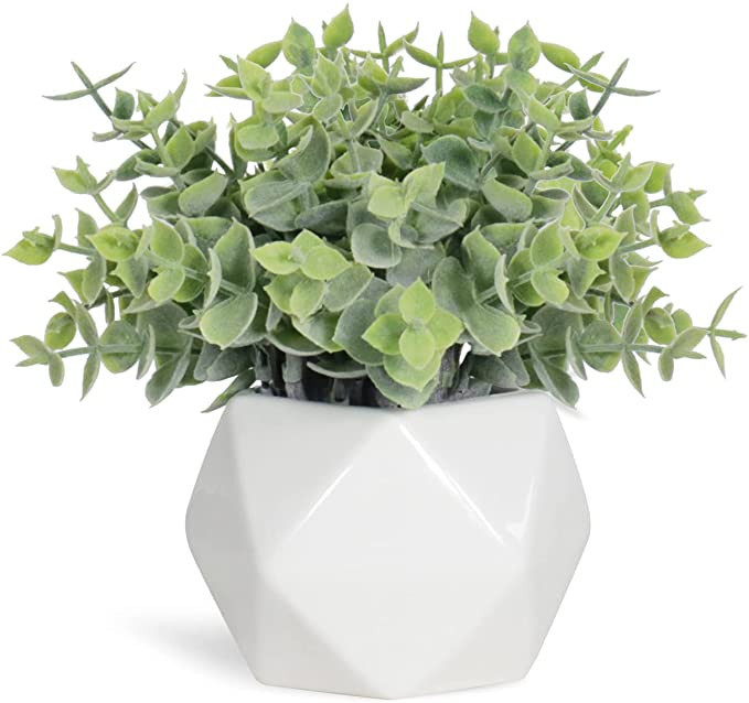 Artificial Faux Succulents in Pots，Plastic Faux Greenery Small Fake Plants for Home Office Desk... | Amazon (US)