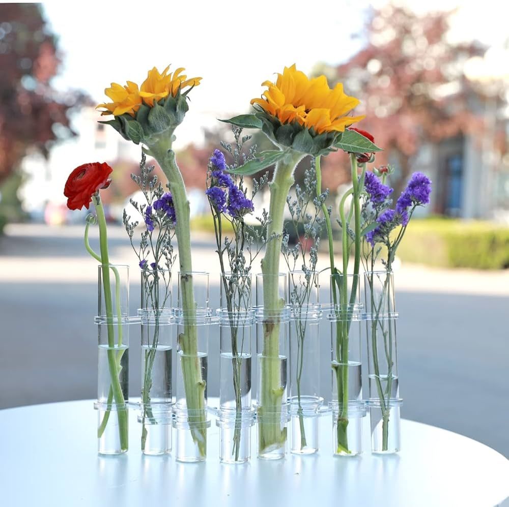 Hinged Flower Vase, Hinged Flower Vases Test Tube, Hinged Flower Vase for Flowers, Creative Glass... | Amazon (US)