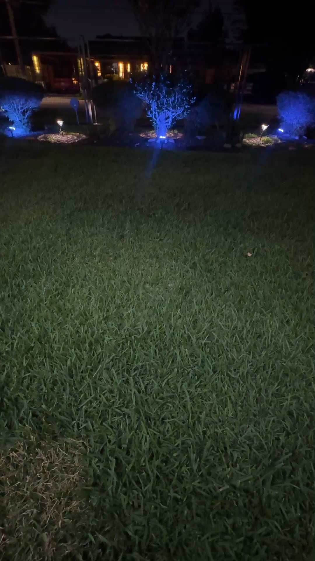Outdoor Spotlights
