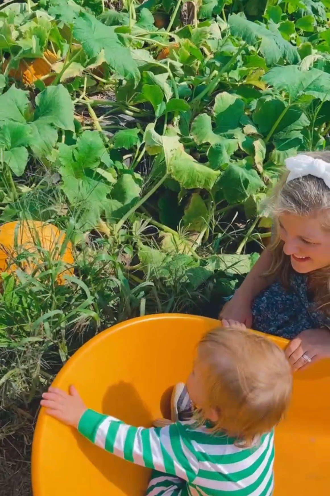 safe to say - Judson (and @wesmabry and I 🤗) was a big fan of pumpkin patch pickin’ today up at @thenixpumpkinpatch 🎃 - the BEST way to spend this Friday fall famday!! 🫶🏽

#LTKtravel #LTKfamily #LTKSeasonal