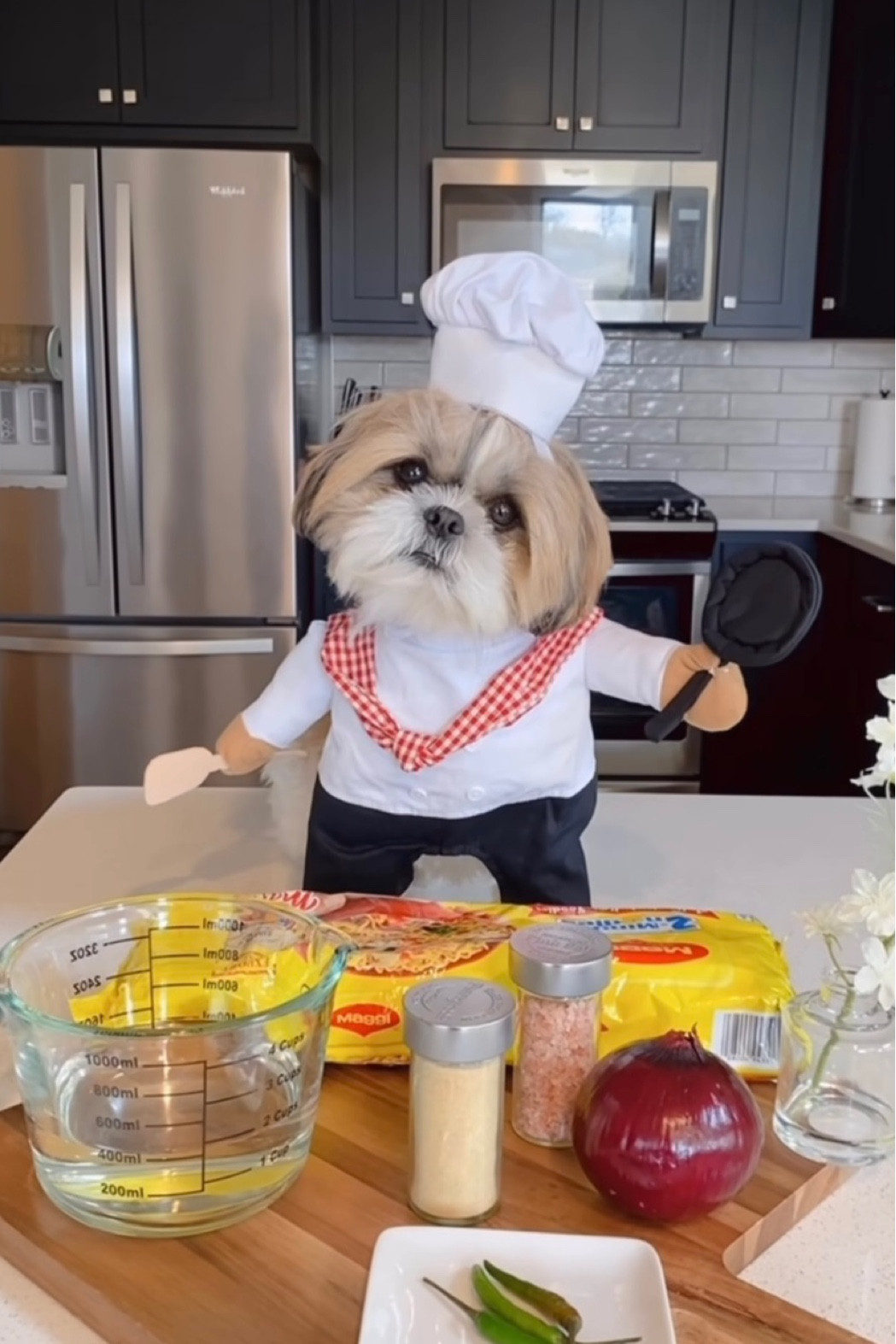 Chef costume

#LTKstyletip #LTKFind