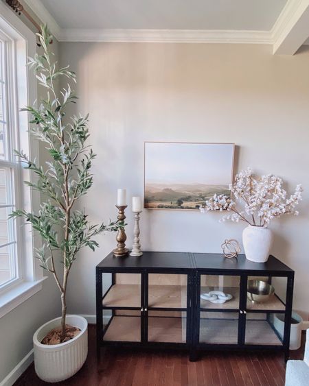 Transitional Modern Organic Home Decor & Furniture. Family Room. Living Room. Affordable. Black cabinets with glass doors. Tall faux olive tree.

#LTKhome