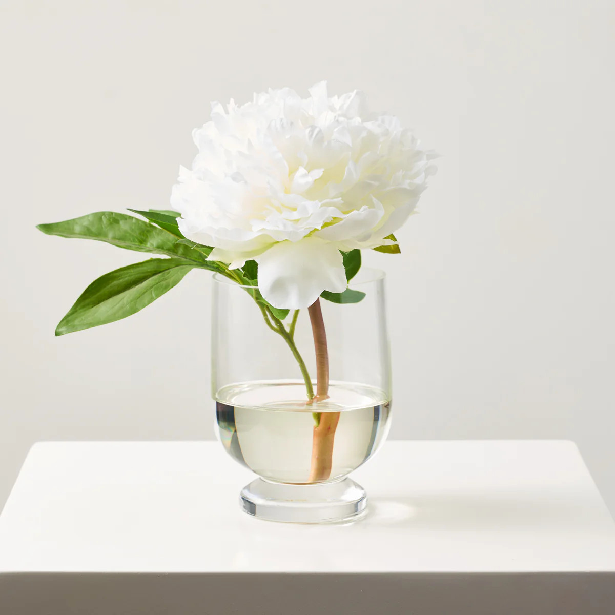 White Peony Water Illusion Faux Floral Arrangement in Small Clear Glass Urn | Darby Creek Trading