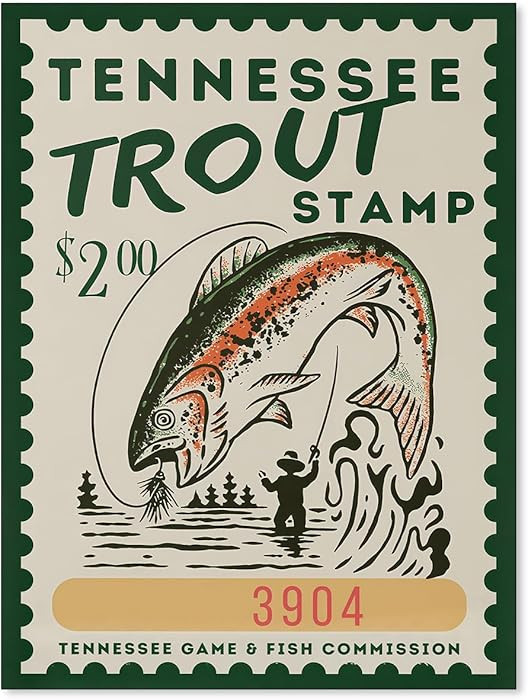 Vintage Trout Fish Wall Art Retro Fishing Artwork Posters Rustic Room Aesthetic Prints 12x16inch ... | Amazon (US)