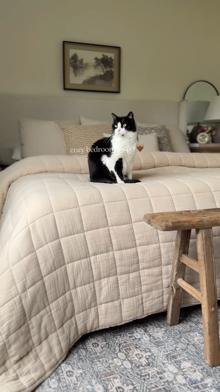 Creating a cozy bedroom is all about the little details 🤎
A soft quilt, layers of pillows, fresh flowers, and a quiet corner with a blanket for reading.

The kind of space that feels calm the moment you walk in…
and apparently my fur babies love it too. 🐾

If you see something you love, comment COZY and I’ll send you the details! 

#cozybedroom #cozyhome #bedroomdecor #cozycorner #cozyvibes
