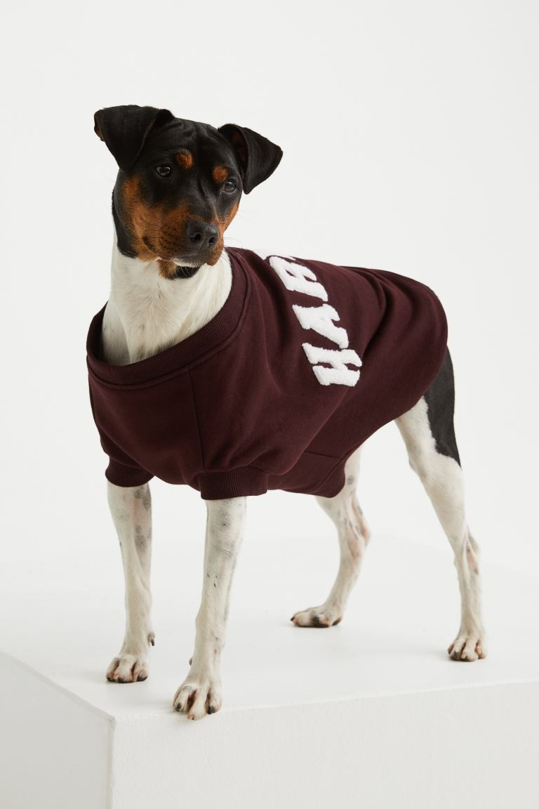 Embroidery-detail Dog Sweatshirt | H&M (US + CA)