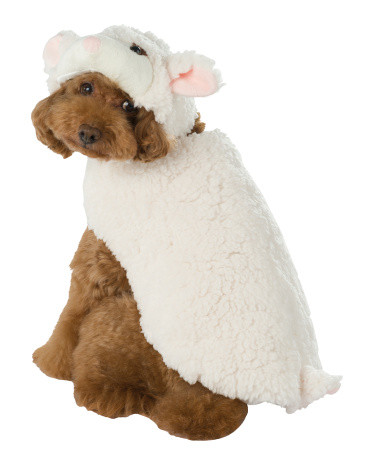 Lamb Pet Costume | TJ Maxx