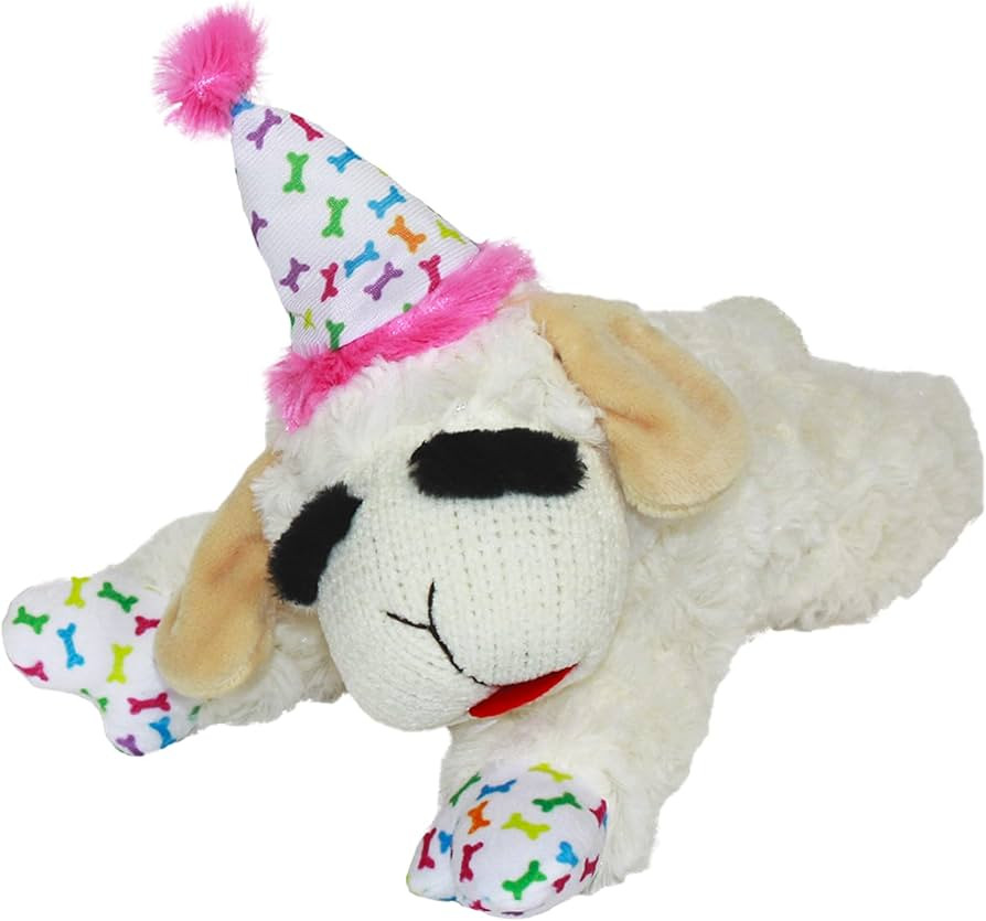 Multipet Lamb Chop Plush Dog Toy with Birthday Hat - Squeaky Toy for All Dogs (10.5”, Pink Hat,... | Amazon (US)