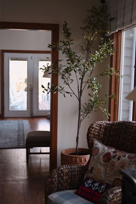 This olive tree lives in a cozy corner off of my kitchen. Everybody loves the realistic look! 

#cozyhome
#olivetree
#Amazonfind

#LTKHome #LTKStyleTip