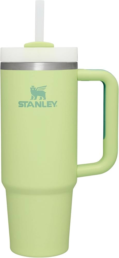 Stanley Quencher H2.0 FlowState Stainless Steel Vacuum Insulated Tumbler with Lid and Straw for W... | Amazon (US)