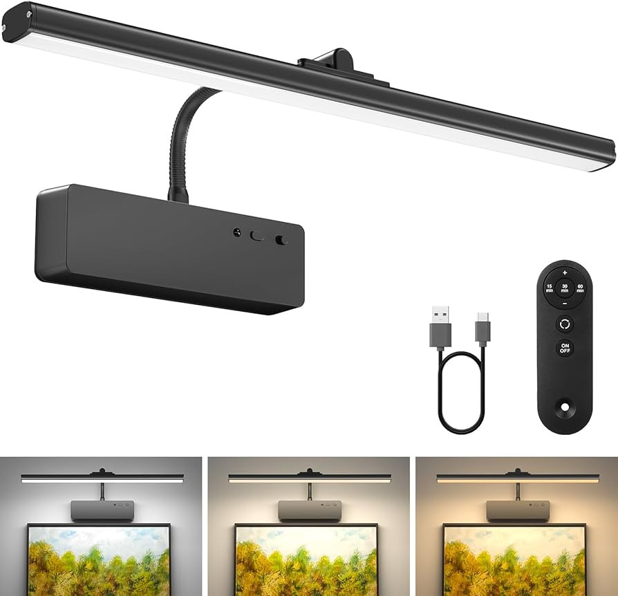 Picture Light with Remote, 15.35inch Wireless Rechargeable Battery Wall Light for Paintings, 3 Co... | Amazon (US)