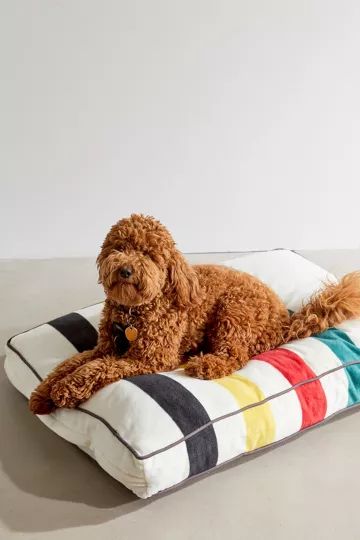 Pendleton National Park Pet Bed | Urban Outfitters (US and RoW)