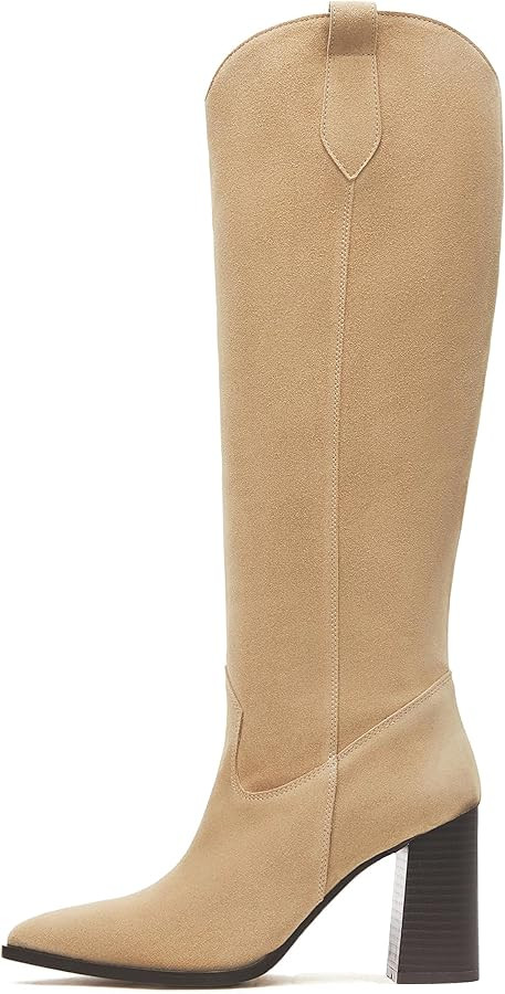 MeiLuSi Knee High Suede Boots Fall Boots for Women 2025 Pointed Toe Fall Shoes Chunky High Heel T... | Amazon (US)