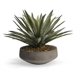 Agave in Newport Bowl | Frontgate | Frontgate