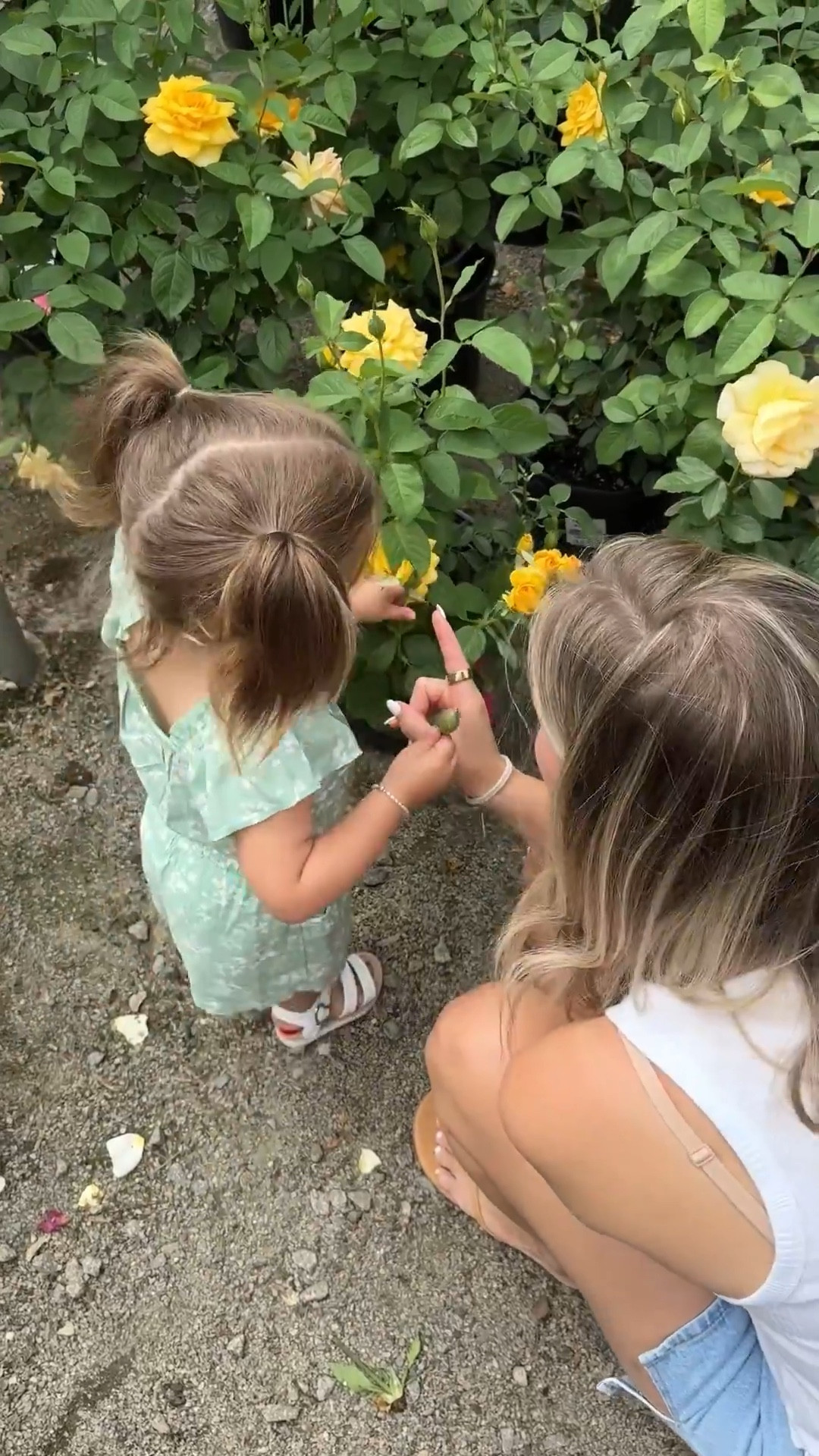 The most beautiful day ☀️🌸🌳

#LTKBeauty #LTKFindsUnder50 #LTKFamily