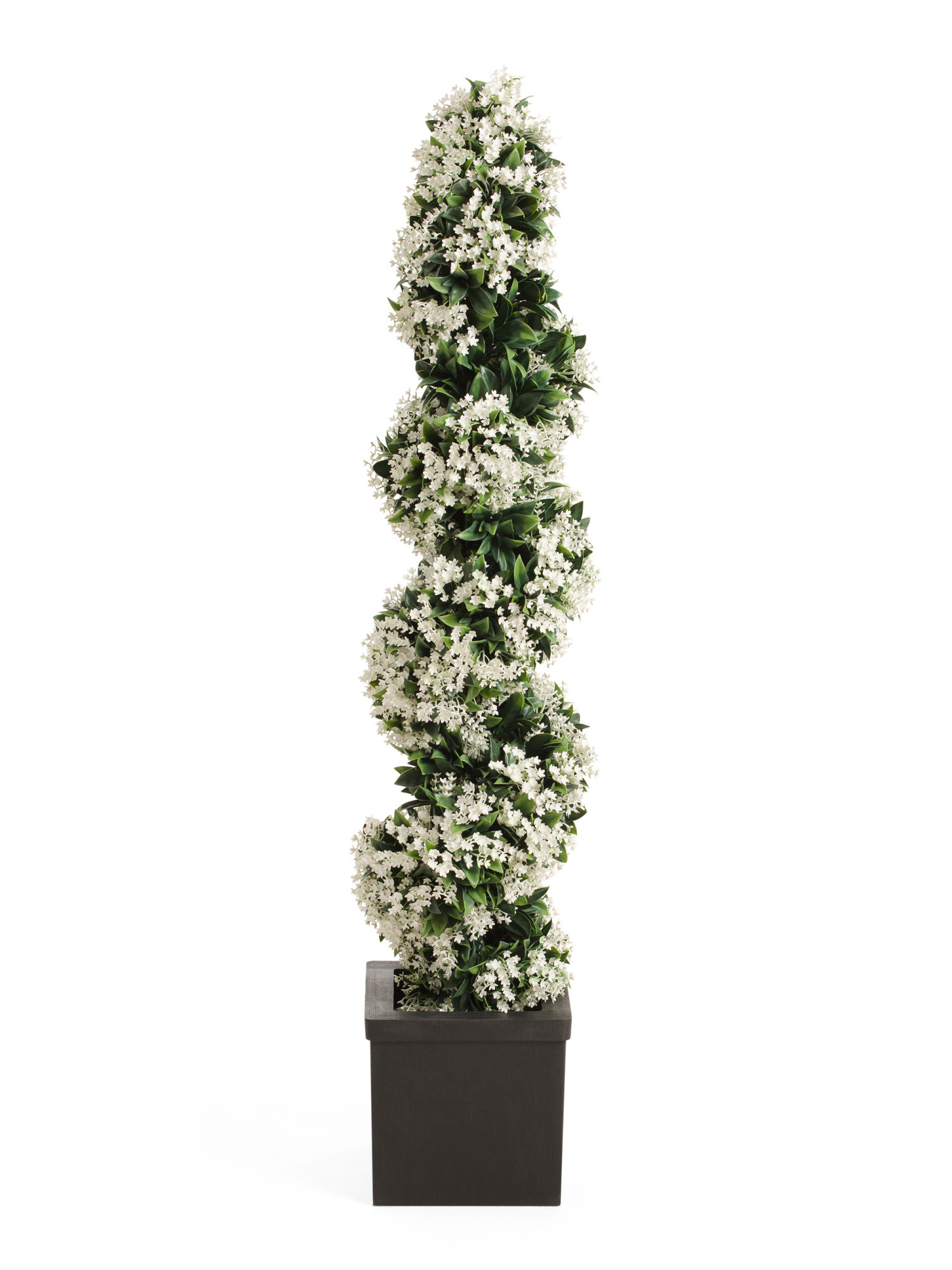 4ft Uv Resistant Safe Ministar Blossom Spiral Boxwood | Plants & Planters | Marshalls | Marshalls
