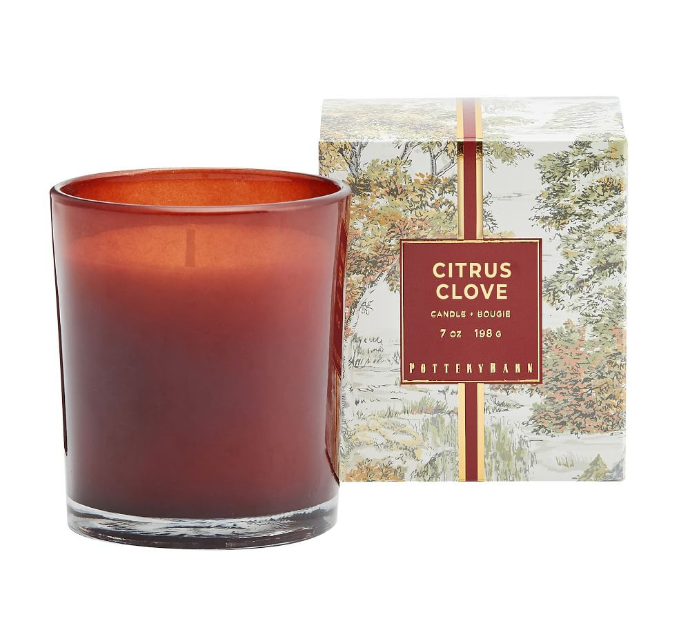 Citrus Clove Scent Collection | Pottery Barn (US)