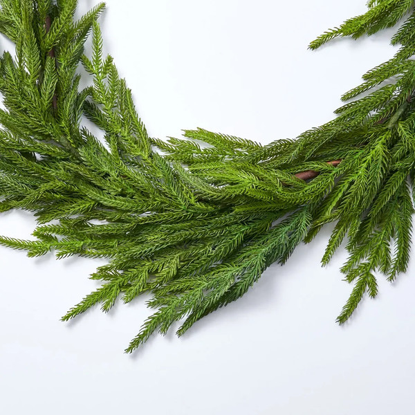 Real Touch Norfolk Pine Garland