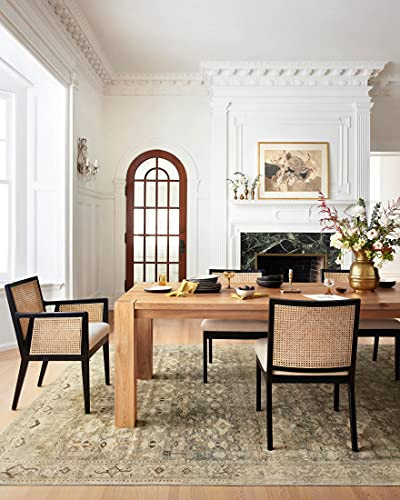 Loloi Margot Collection MAT-04 Antique/Sage 8'-6" x 11'-6" Area Rug feat. CloudPile, No-Shed Easy Clean Large Patterned Area Rug for Living Room, Bedroom, Dining Area | Amazon (US)