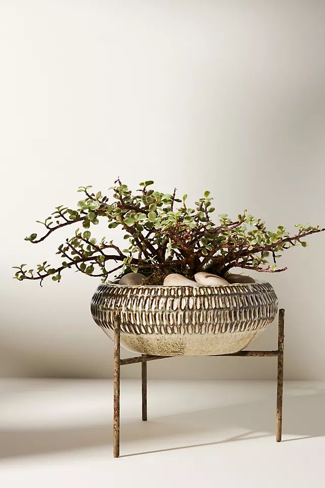 Flora Plant Stand | Anthropologie (US)