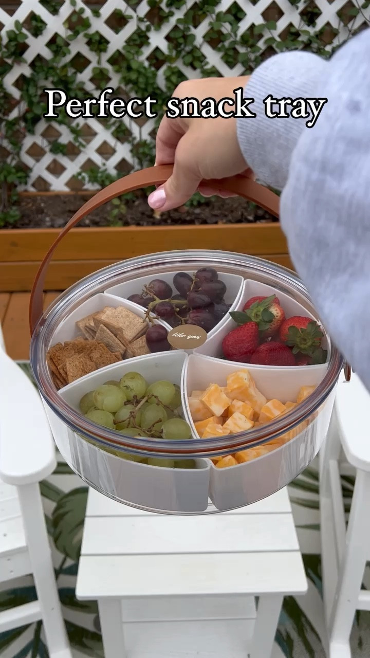 Dingerjar Divided Serving Tray with Lid and Handle