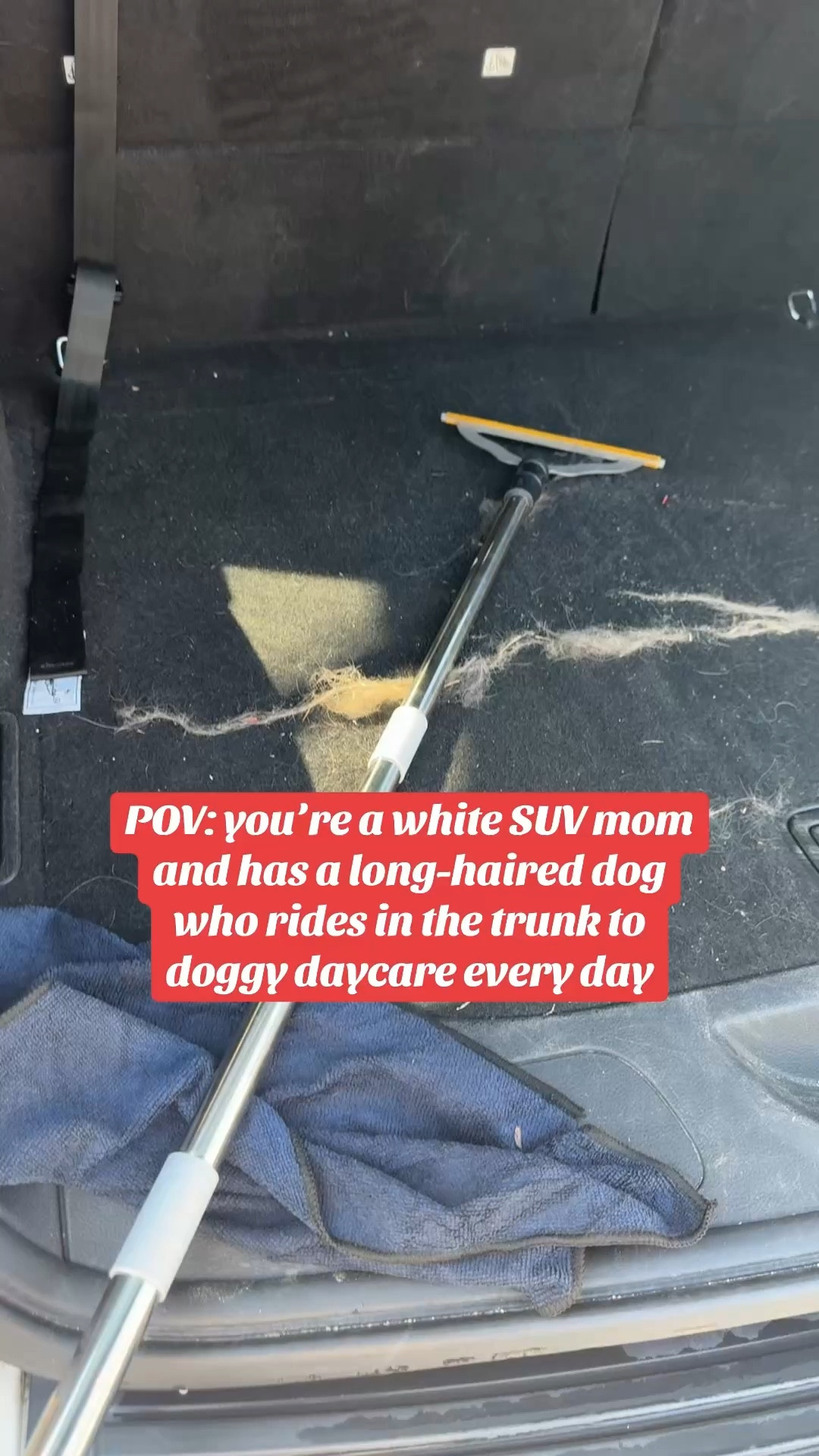 Bringing my carpet rake to the car wash to rake before vacuuming it may have been my best idea in a while. SO. MUCH. DOG. HAIR!!

Pet hair removal, mom life, carpet cleaning, rug cleaning, white suv mom

#LTKmomlife #LTKHome
