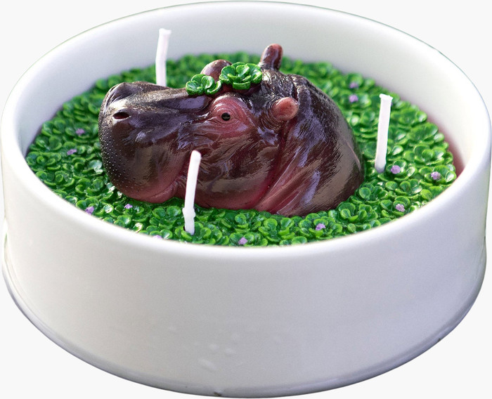Southlake gifts Hippo Aromatherapy Scented Candle Bowl | Nordstrom | Nordstrom