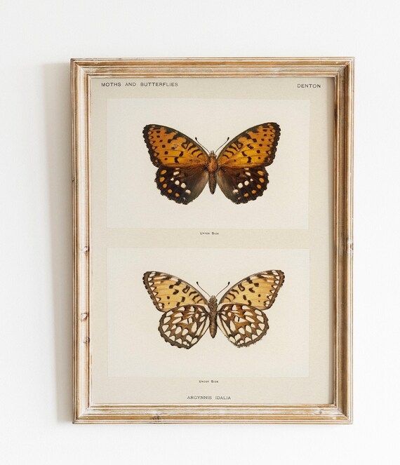 Butterfly Print Vintage Art Printable Artwork | Etsy | Etsy (US)