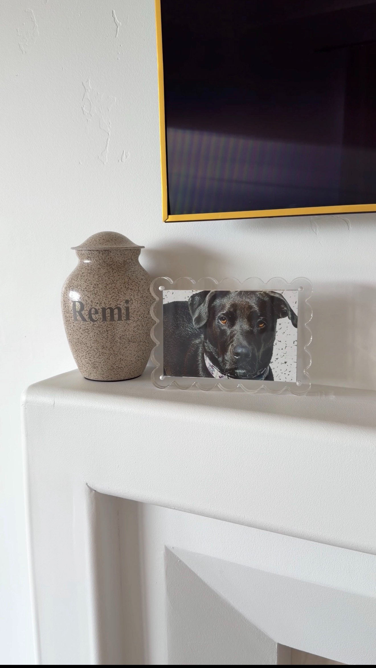 This clear magnetic photo holder with a scalloped edge is a decorative and functional display piece designed to showcase photos while adding a soft, stylish touch. Overall, it combines clean transparency with a subtle decorative flair, making it popular for desks, shelves, lockers, or kitchen displays.
 

 #LTKHome