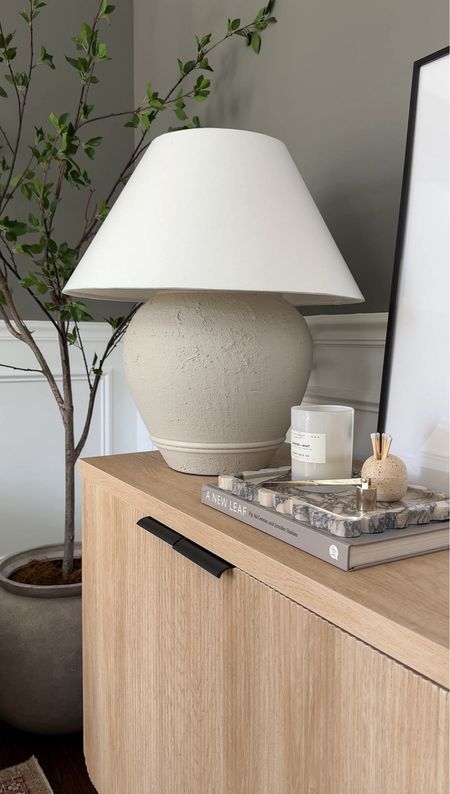 The prettiest wood and stone combinations! This calcatta marble tray is an Amazon find and so good. I adore this table lamp, and of course my favorite soft close sideboard! 

#LTKHome #LTKStyleTip