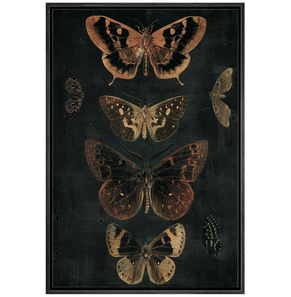 Animals " Moody Gothic Butterfly Animals Dark Floral Botanical Artwork Paintings " | Wayfair North America