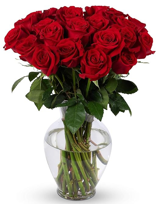 Benchmark Bouquets 2 Dozen Red Roses, With Vase (Fresh Cut Flowers) | Amazon (US)
