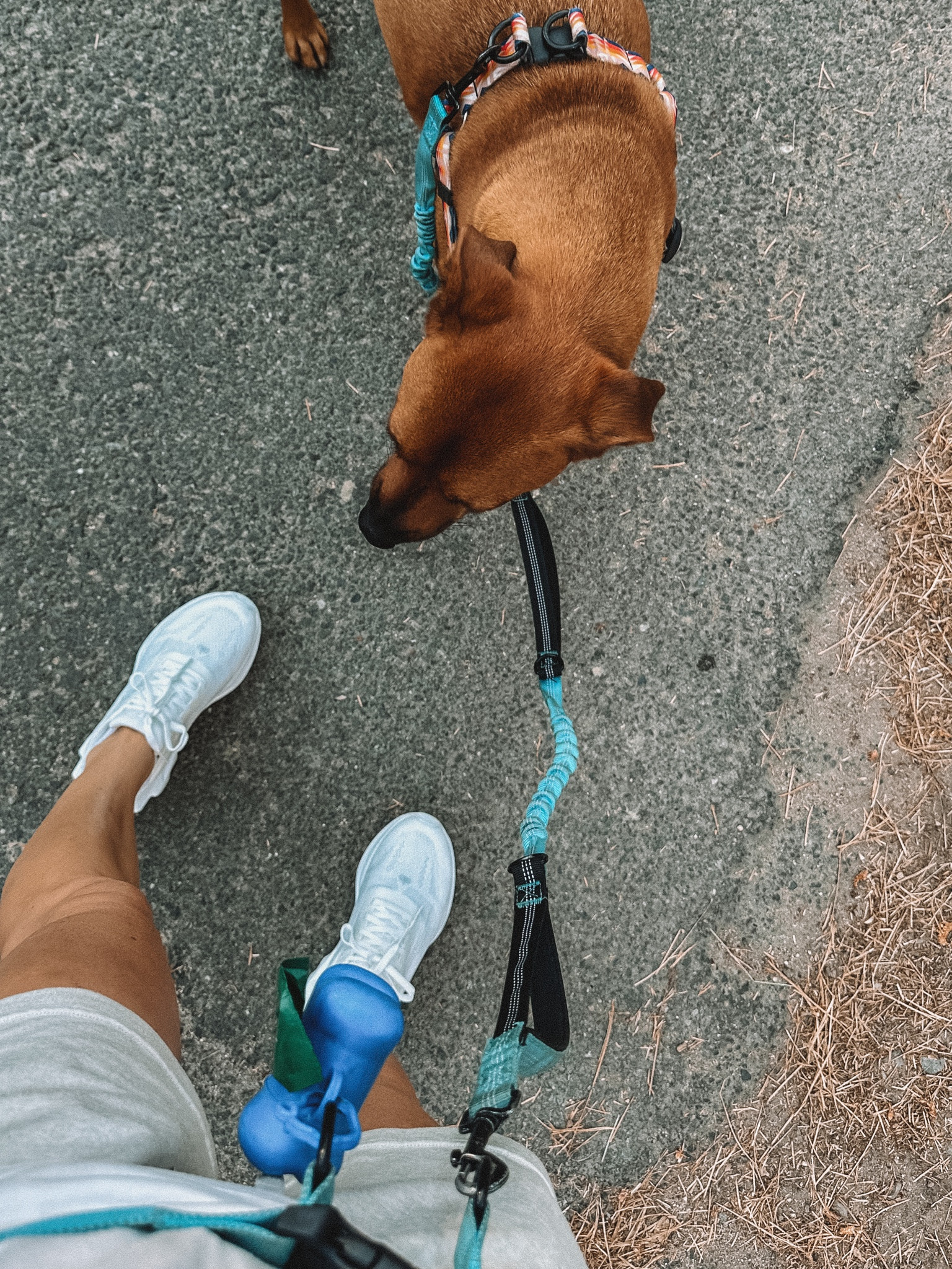 This dog walking waist leash is the best! And so affordable ✅
Ps: pair it with Alo Yoga’s new runner shoes, and you’ve got yourself a good morning ☀️

#LTKFitness #LTKFindsUnder50 #LTKShoeCrush
