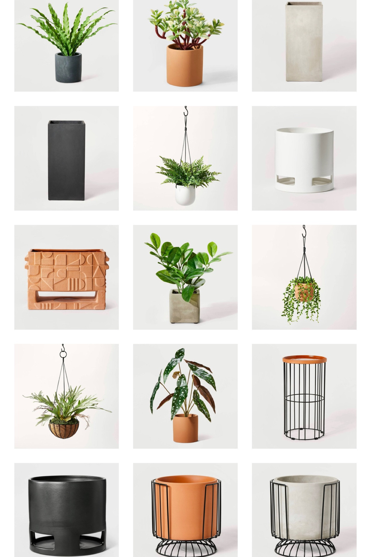 New Hilton Carter x Target Plant 🪴 Collection is now Live!

#LTKhome #LTKSeasonal #LTKunder50