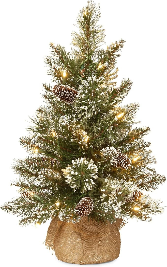National Tree Company Pre-lit Artificial Mini Christmas Tree | Includes Small LED Lights, White T... | Amazon (CA)
