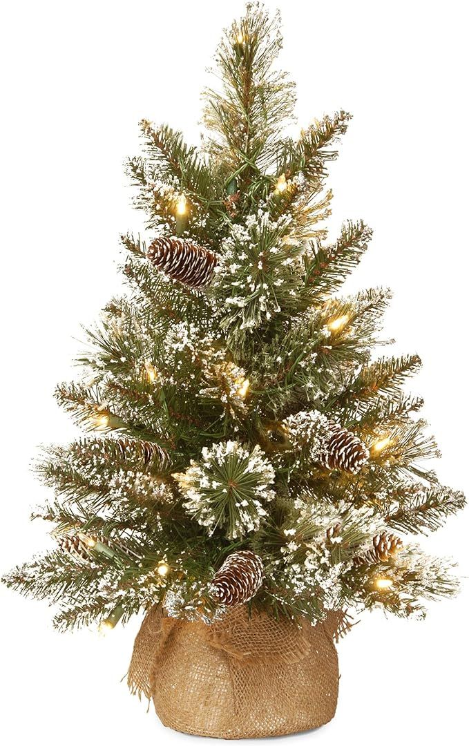 National Tree Company Pre-lit Artificial Mini Christmas Tree | Includes Small LED Lights, White T... | Amazon (US)