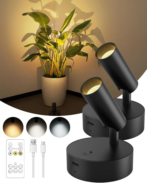 Spotlights Indoor with Remote, 3000mAh Rechargeable Battery Plant Spotlight Indoor, Wireless Upli... | Amazon (US)
