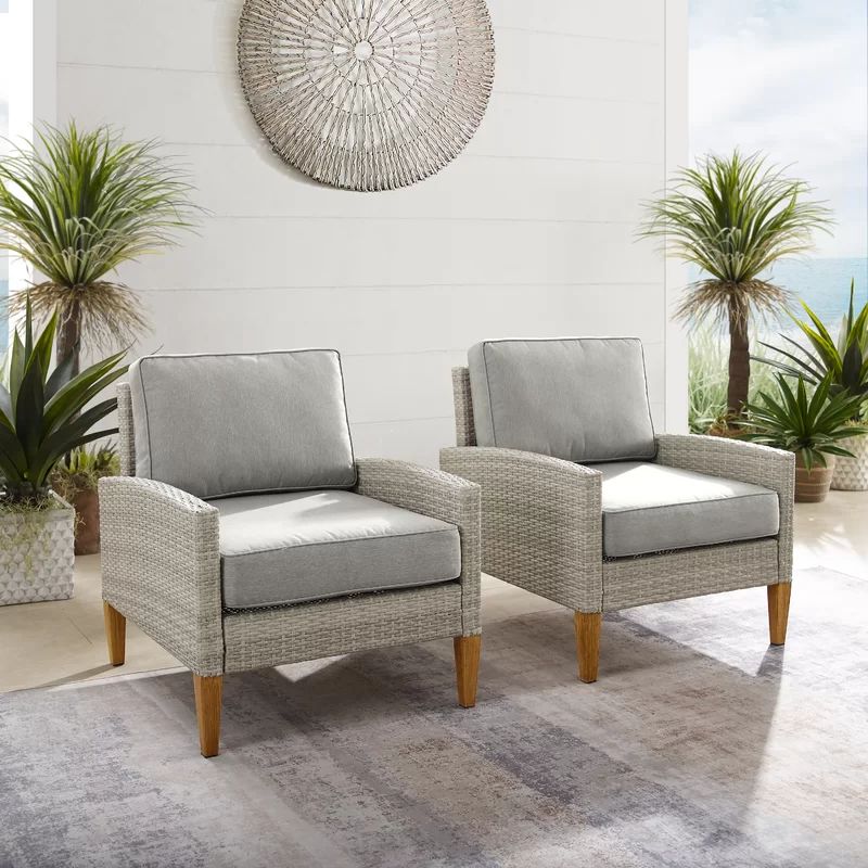 Behn Outdoor Patio Chair with Cushions (Set of 2) | Wayfair North America